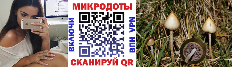 Псилоцибиновые грибы мицелий  Шатура 